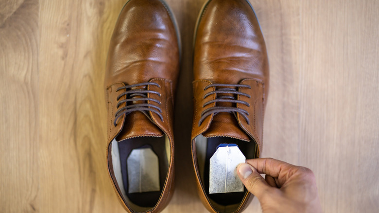 Putting tea bags into pair of brown leather shoes