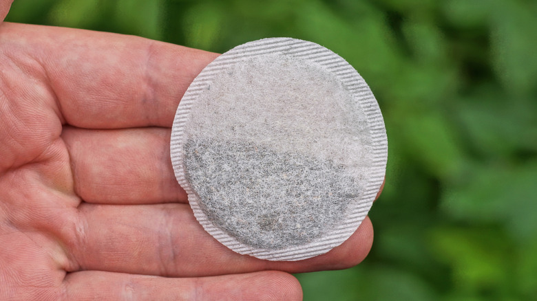 Round teabag on palm of person's hand
