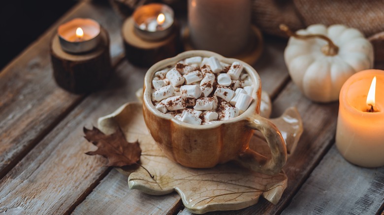 Mug of hot chocolate with marshmallows