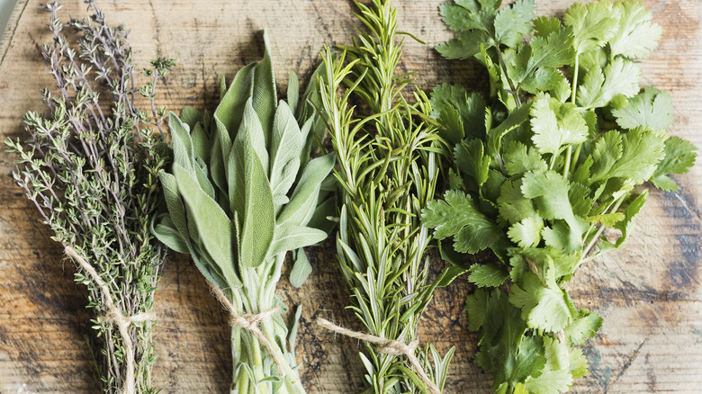 Bunches of fresh herbs.