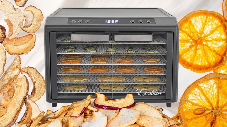 Food dehydrator machine