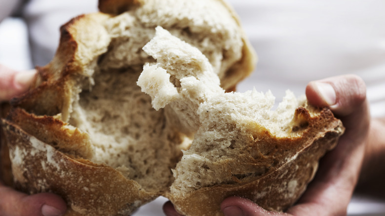 Hands holding torn up loaf of bread