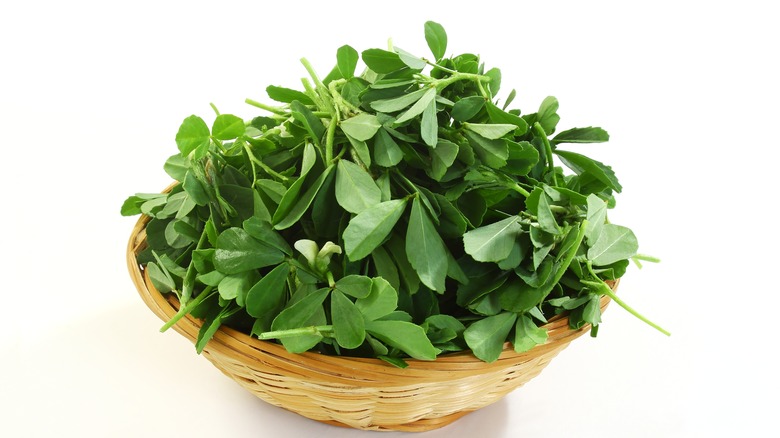 basket of fresh fenugreek leaves