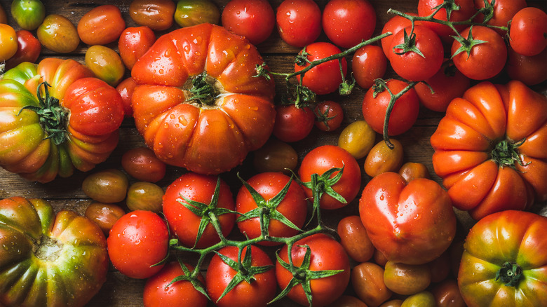 Variety of tomatoes