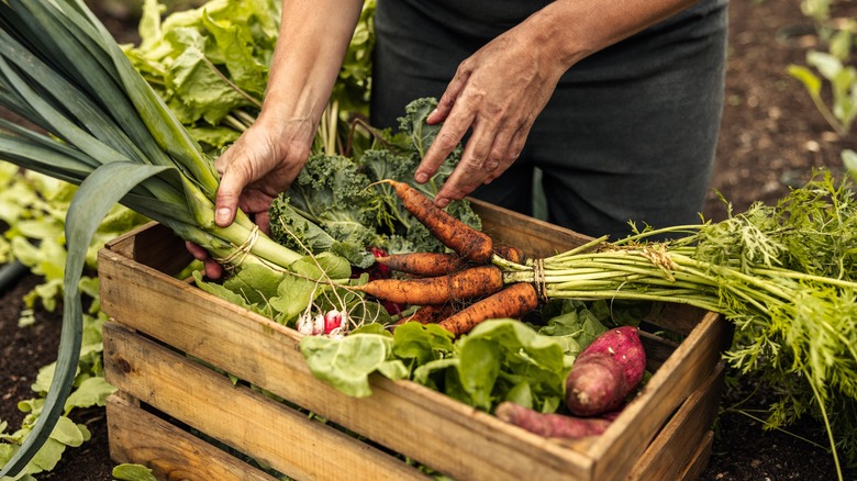 fresh produce in wooden crate