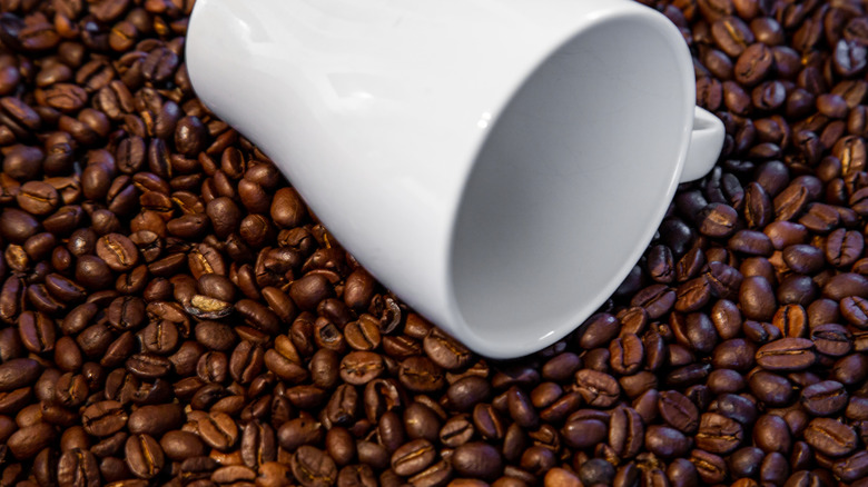 100% Arabica coffee beans with a white mug for scooping