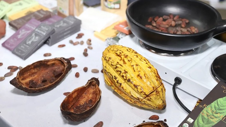 Items at Ecuador's chocolate festival