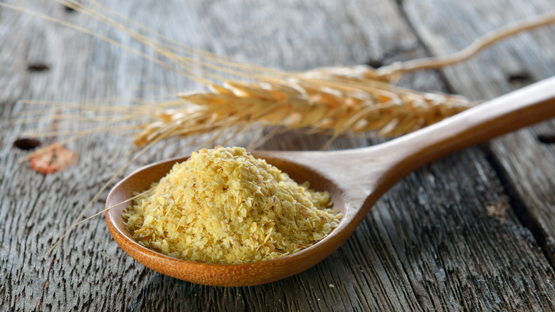 Wheat germ in wooden spoon with dried wheat
