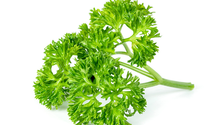 Sprig of parsley