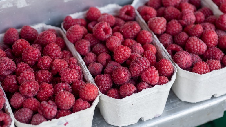 Raspberries in cartons