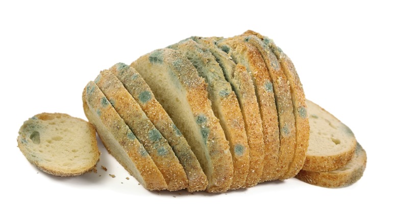 Moldy bread on white background