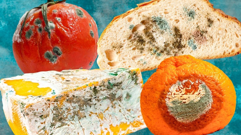 12 Foods You Can (And Can't) Salvage Once They Grow Mold