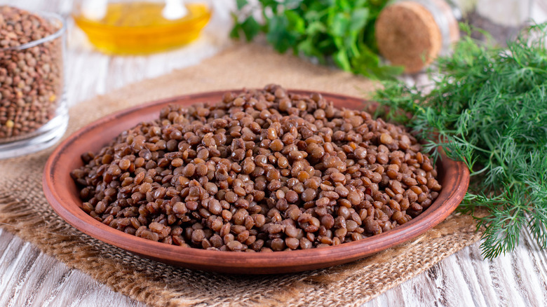 bowl of steamed brown lentils