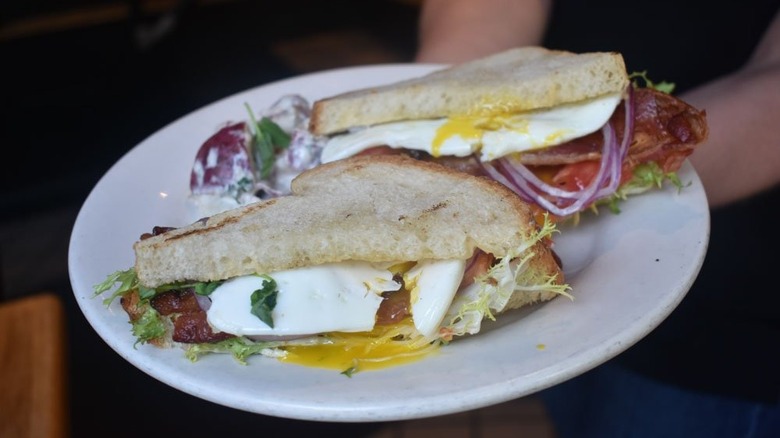 Sandwich Lyonnaise on a plate