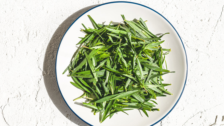 fresh tarragon leaves on white plate