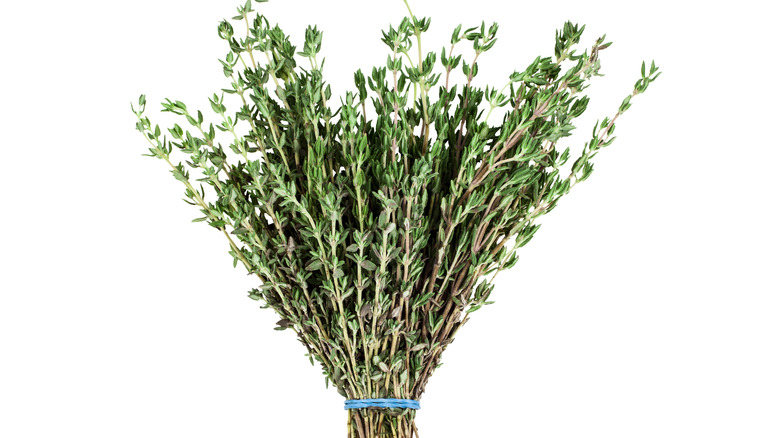 bunch of fresh thyme on white background