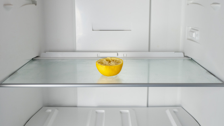 half of squeezed lemon sitting on and empty fridge shelf