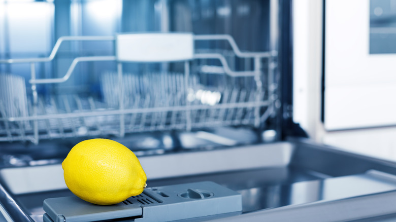 whole fresh lemon sitting on the open dishwasher door