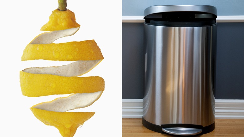 split image of a lemon peel and a stainless steel trash can