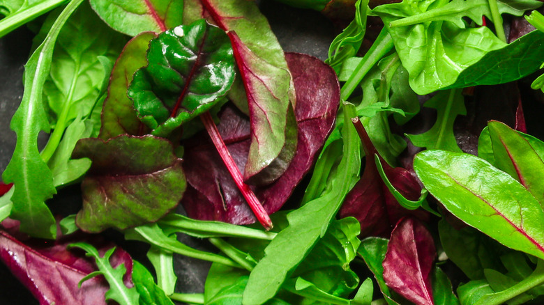 Bowl of mixed greens