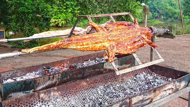 whole alligator over coals