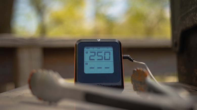 digital probe thermometer