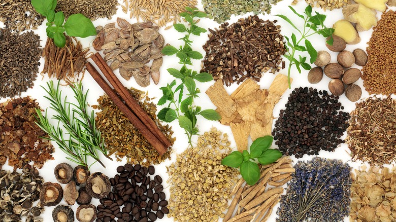 variety of herbal medicines