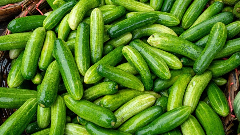 a bunch of cucumbers