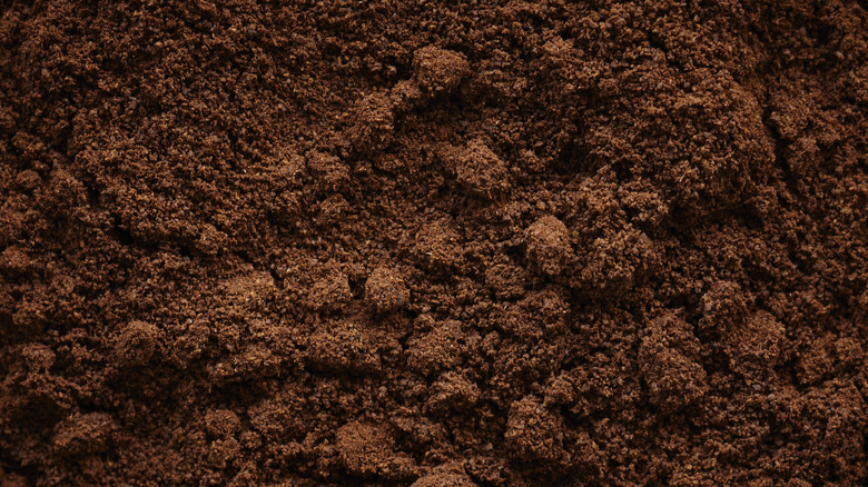 Coffee grounds