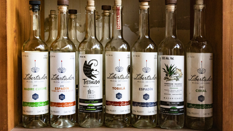 Bottles of mezcal