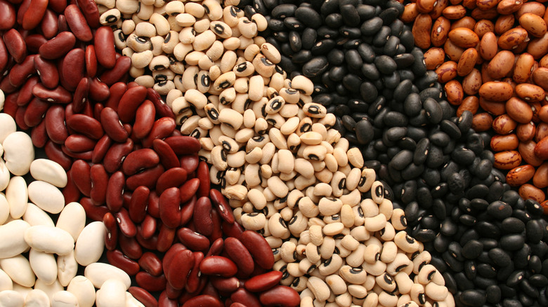 Different dry beans