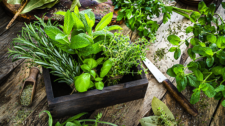 Mixed fresh herbs