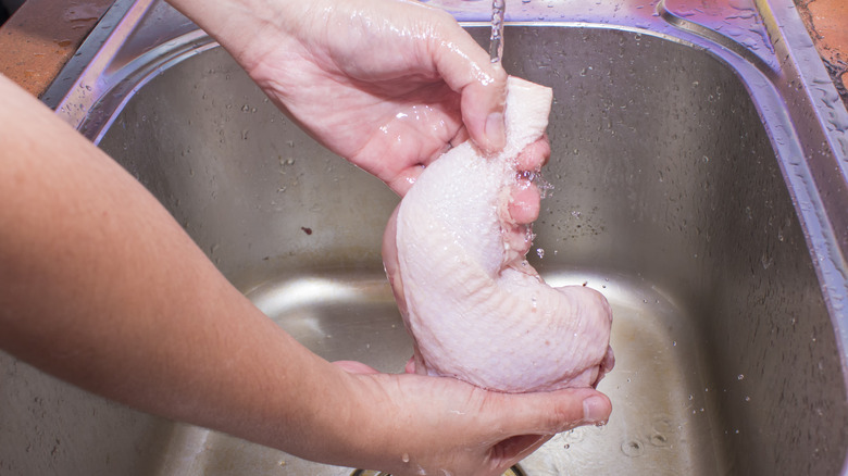 Hands washing chicken