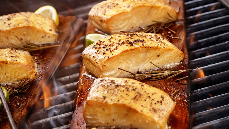 Salmon grilling on cedar plank