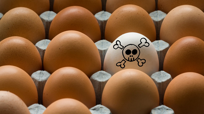 A white egg in a carton marked with a danger skull image surrounded by unmarked brown eggs