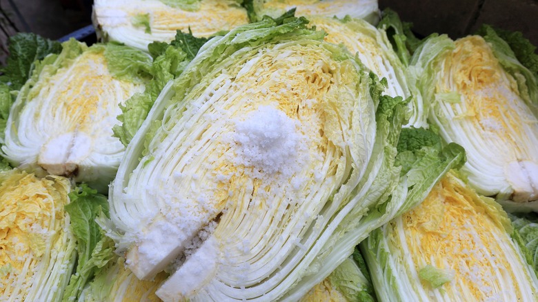 cabbage with salt on it