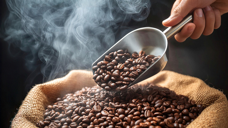 A hand scooping steaming coffee beans from a burlap sack