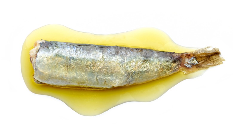 Sardine sitting in olive oil