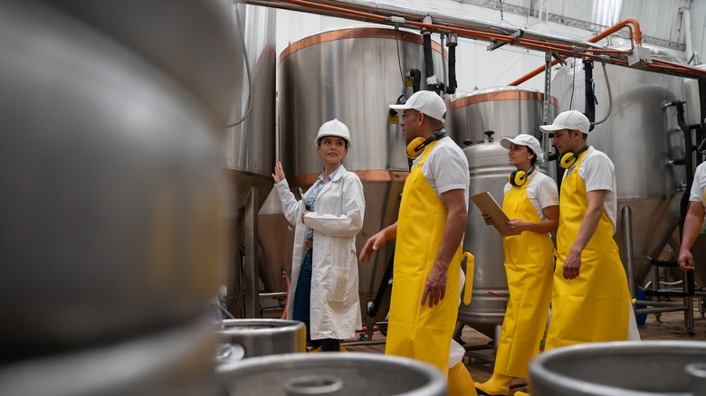 brewery staff in work uniform