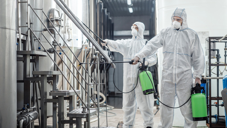 Brewery staff sanitizing brewing equipment