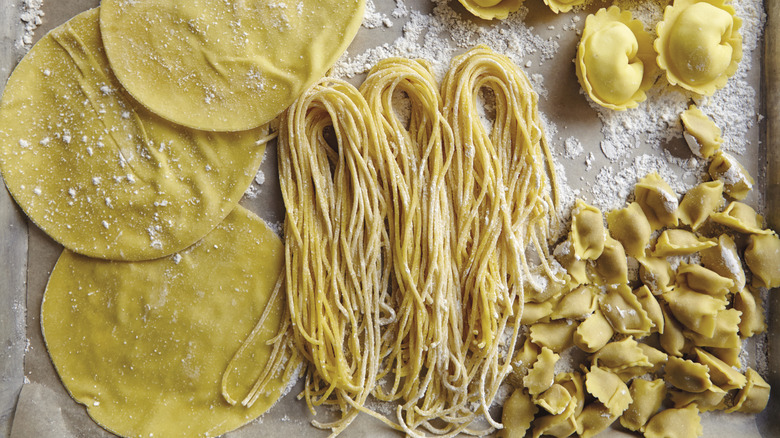 Spread of different homemade pastas