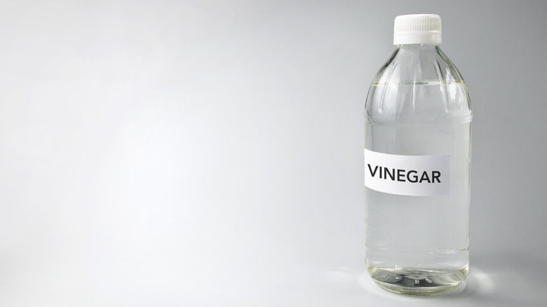 White vinegar bottle