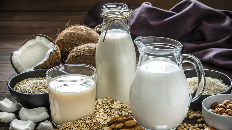 variety of plant based milk alternatives