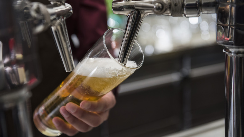A pilsner beer being poured into a glass