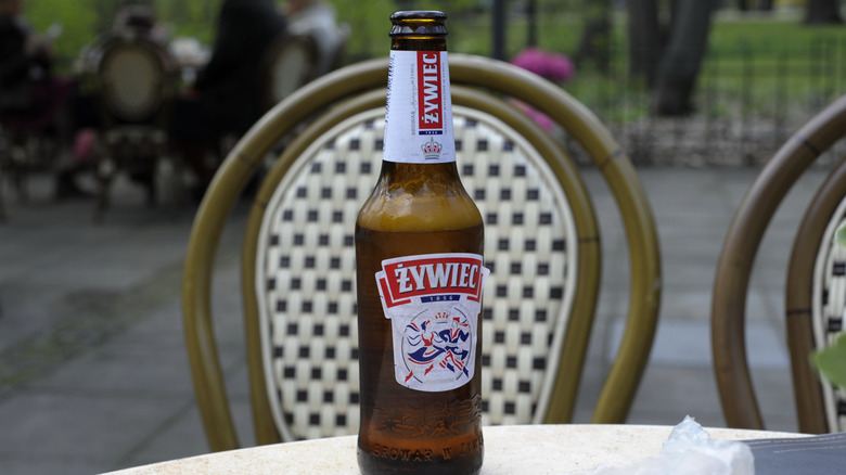 A Żywiec Lager bottle on a table