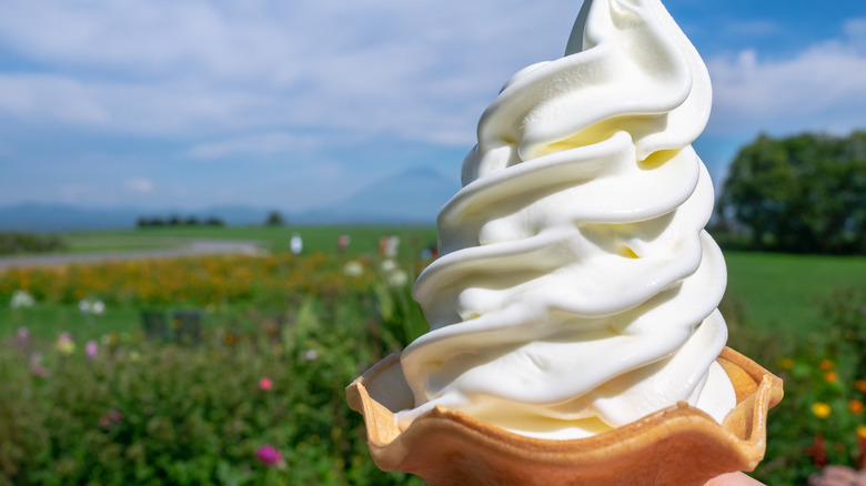 soft serve ice cream in hokkaido japan