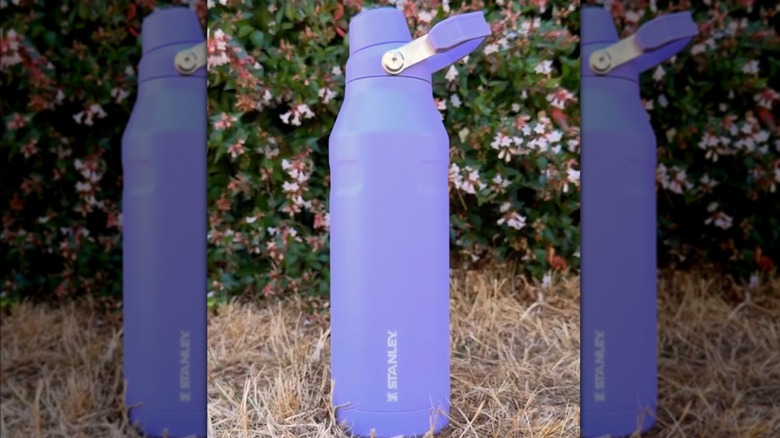 Purple IceFlow AeroLight bottle