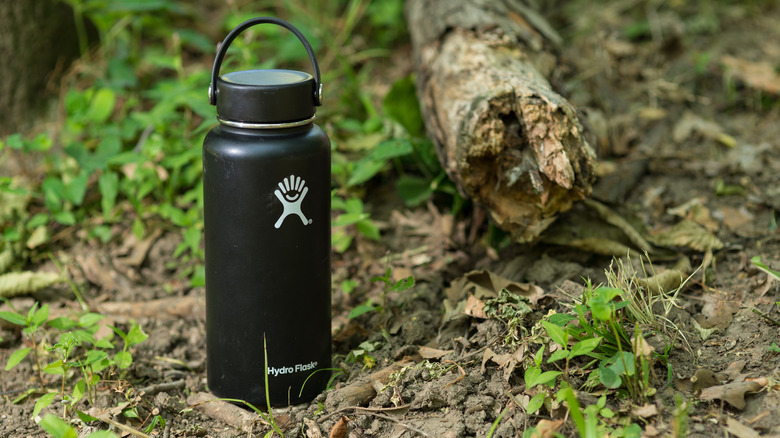 Hydro Flask on forest ground