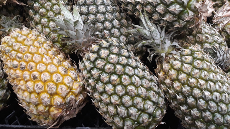 Selection of Bogor pineapples