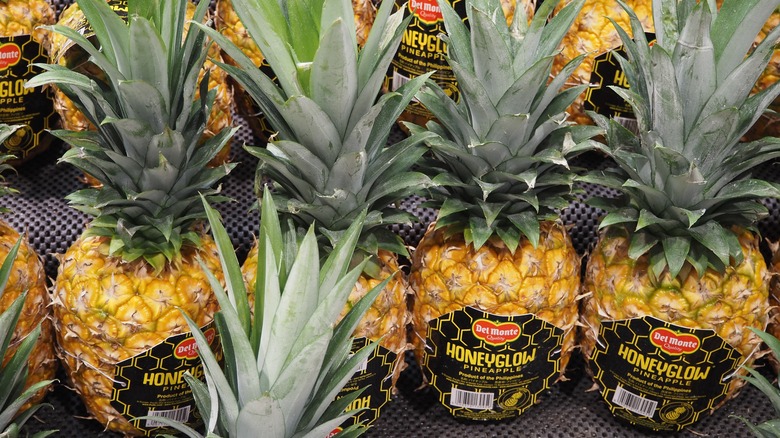 Selection of Honeyglow pineapples